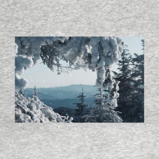 Winter Frame T-Shirt